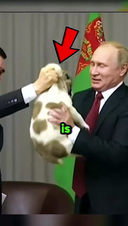 Vladimir Putin affectionately picks up the dog and adopts it.