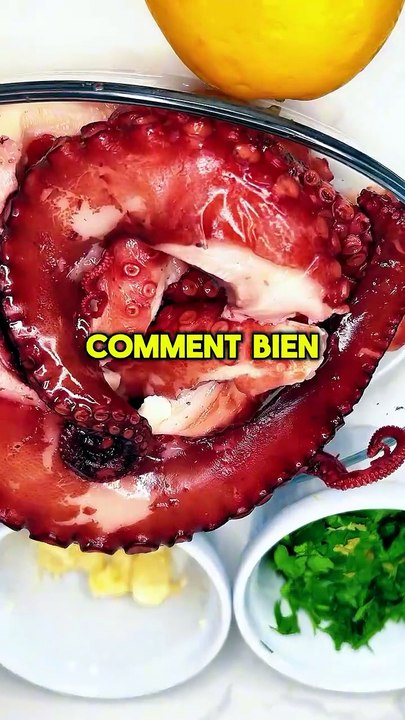 🐙 Comment bien choisir son poulpe ? A part si tu habites proche de la mer et que tu peux avoir.mp4
