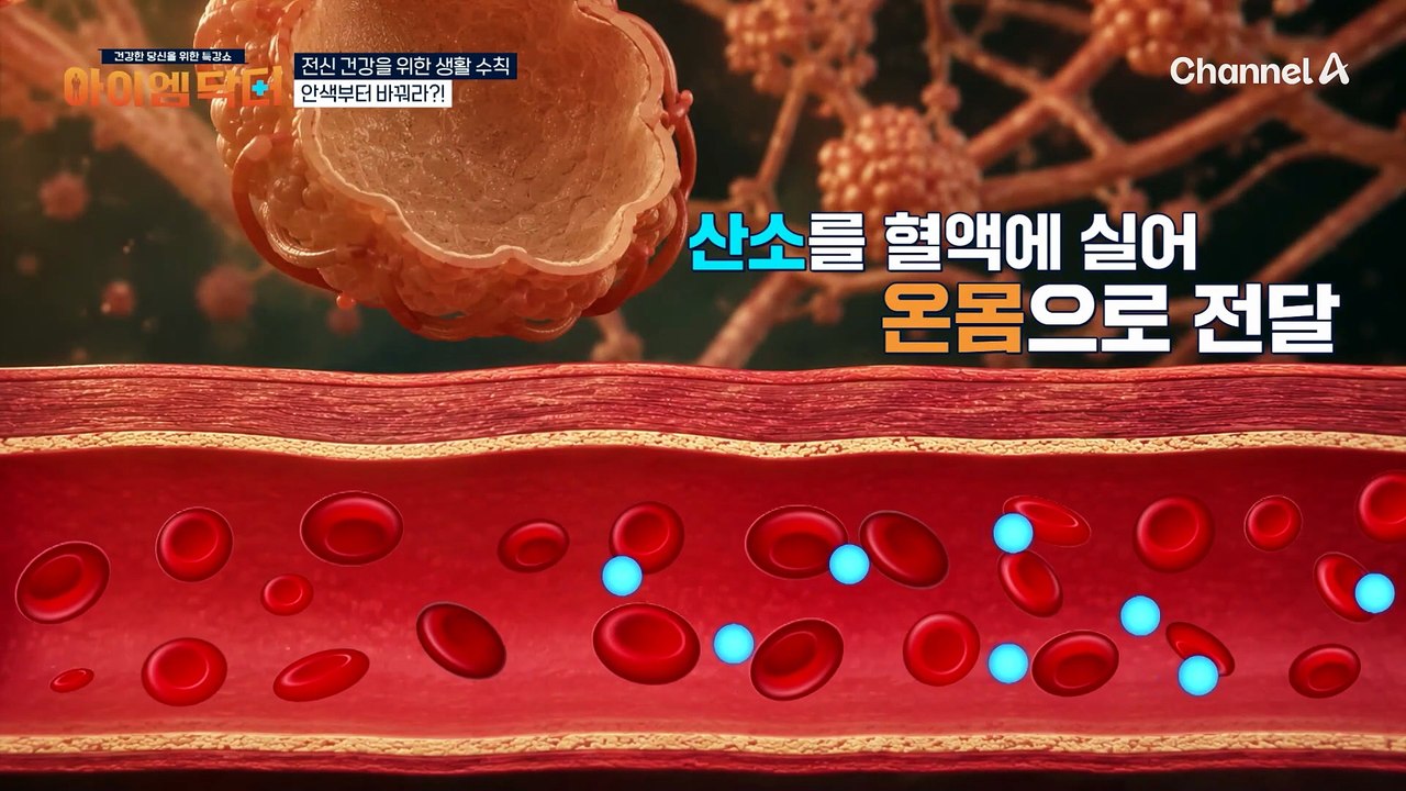 전신 건강을 위한 생활 수칙! 안색부터 바꿔라?!