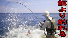 【餌より釣れる！？】女が溺愛するあのルアーを使って荒磯から魚釣りをしてみた結果…│釣り│fishing│fishingwoman│vanlife
