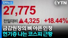 [자막뉴스] 천당과 지옥 '왔다갔다'...레버리지 ETF에 금감원장도 후회 막심 / YTN