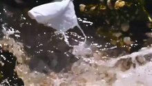 Silent sensors saved an ocean disaster! 🌊