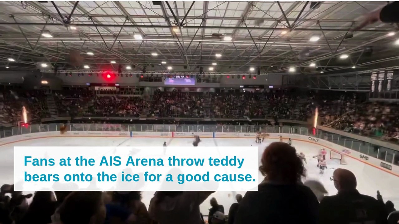 Fans at the AIS Arena throw teddy bears onto the ice for a good cause