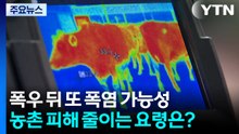 폭우와 폭염 사이...농작물·가축 피해 줄이려면 / YTN