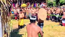 Tradisi Unik Desa Adat Tenganan Dauh Tukad Karangasem Bali  #PerangPandan #MekareKare #BudayaBali #ExploreBali #BaliAga