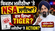ਬਿਕਰਮ ਮਜੀਠੀਆ 'ਤੇ NSA ਲਾਇਆ?  ਫਸ ਗਿਆ Tiger? ਮਜੀਠੀਆ 'ਤੇ Action?