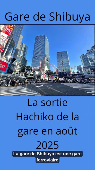 Gare de Shibuya