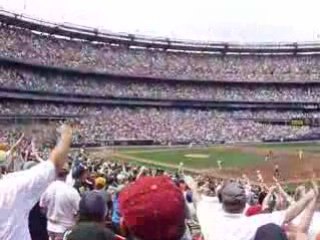 folie du baseball a New York City