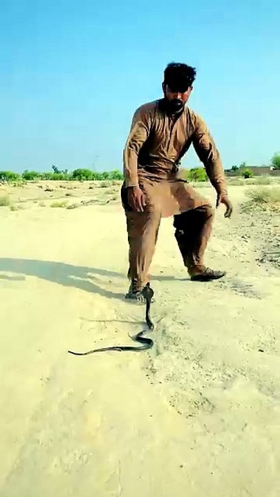 Snake catcher