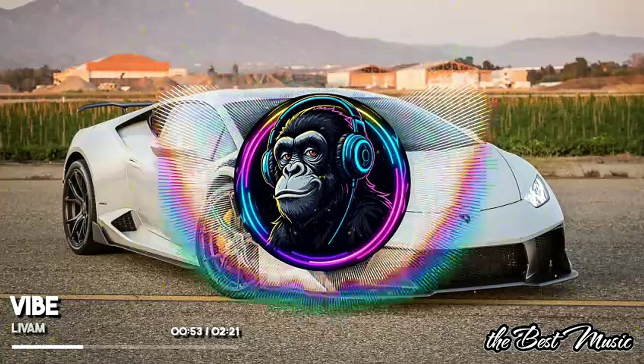 Vibe - Livam