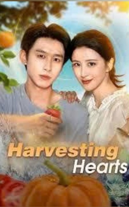 Harvesting Hearts