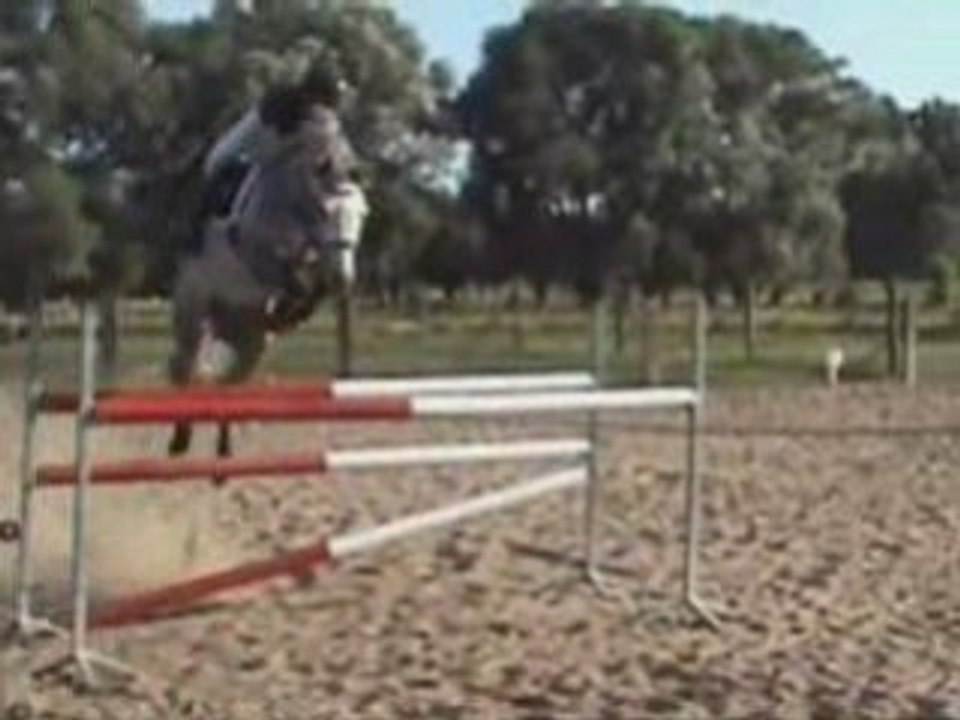 Joelle obstacle