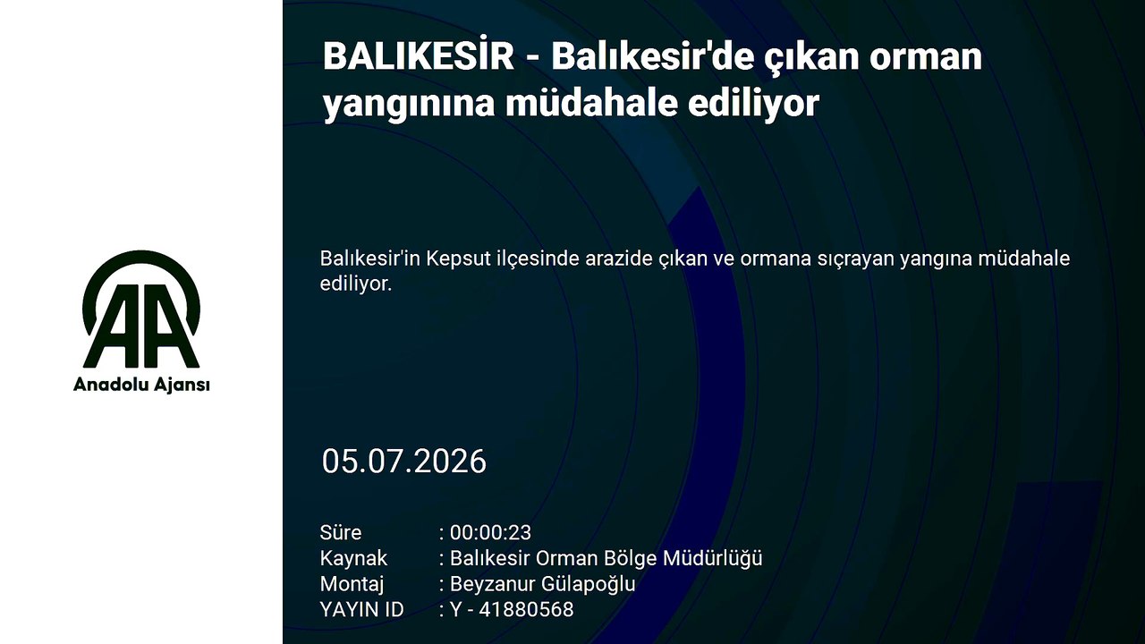 Balıkesir'de çıkan orman yangınına müdahale ediliyor