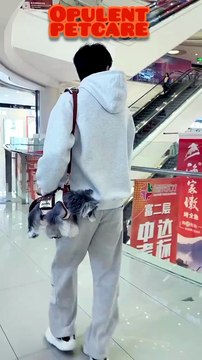 HIPIPET Hands-Free Dog Carrier Bag – Portable Pet Sling for Walking & Travel