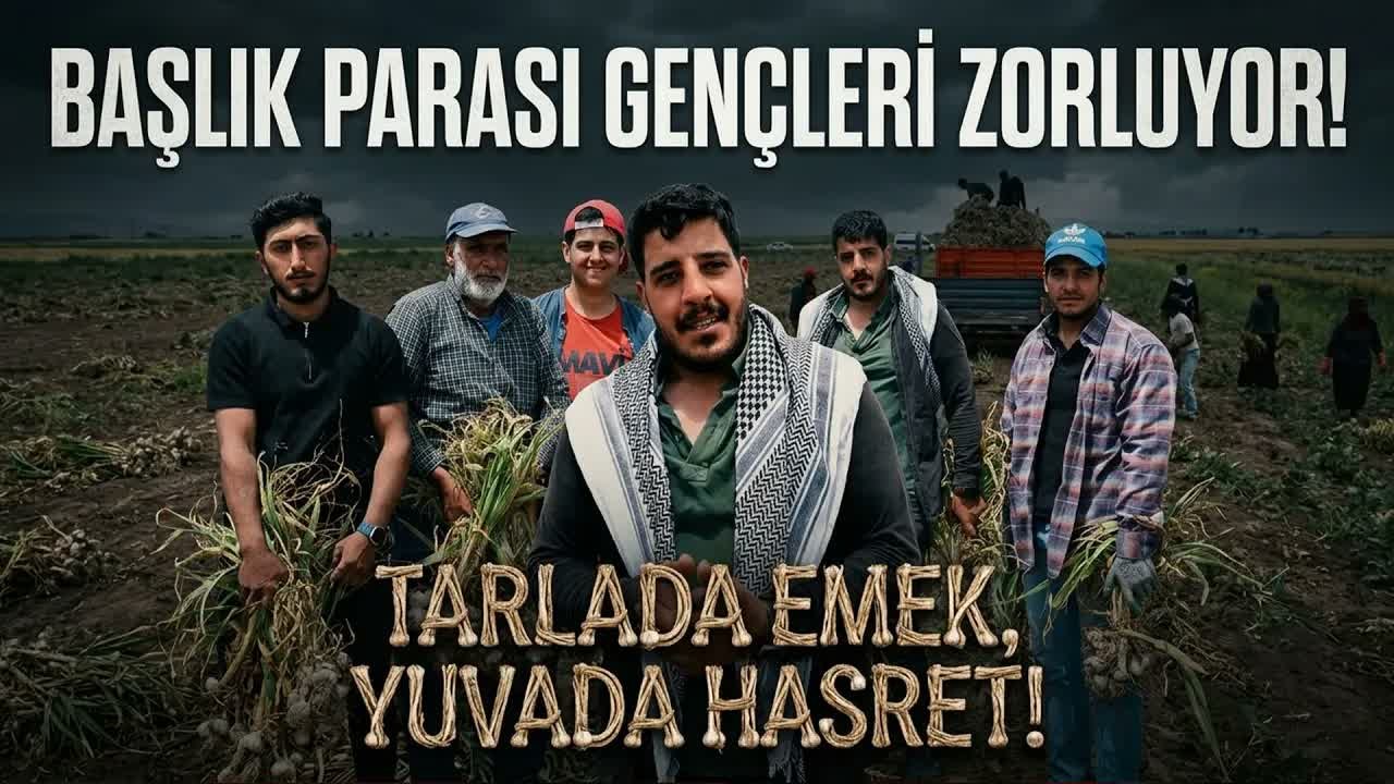 Tarım İşçilerinin Başlık Parası İsyanı: Evliliği Zorlaştırıyor
