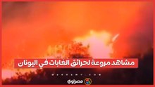 حرائق الغابات في اليونان تخرج عن السيطرة وإخلاء مئات الأسر وسط مشاهد مروعة