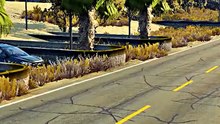 SIMULATED ACCIDENT