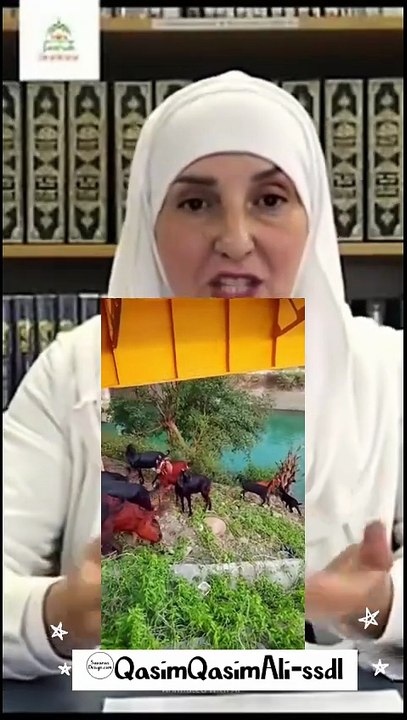 Bakriyan Fajr Se Pehle Kyun Jaag Jaati Hain? 🐐 SubhanAllah! #Shorts#islamicvideo #wazifa #viralreels #dua