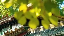 Into the Dragon's Rage Chinese Drama - English Sub
