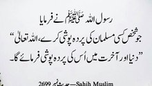 Daily Hadith Quran365