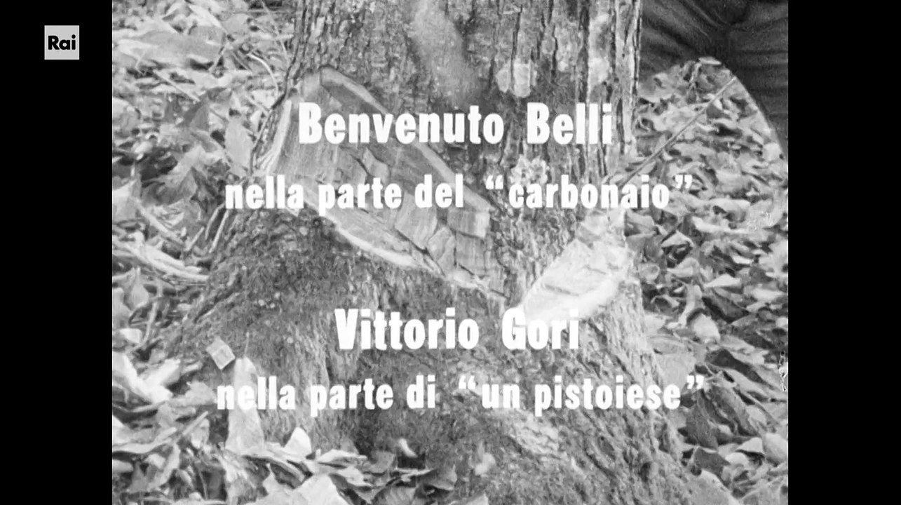 Il taglio del bosco