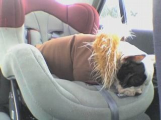 Anni brookette!!!!!!!!!!!!!