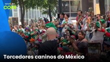 Invasão canina! Chihuahuas vestem camisa do México e antes de jogo contra Inglaterra na Copa