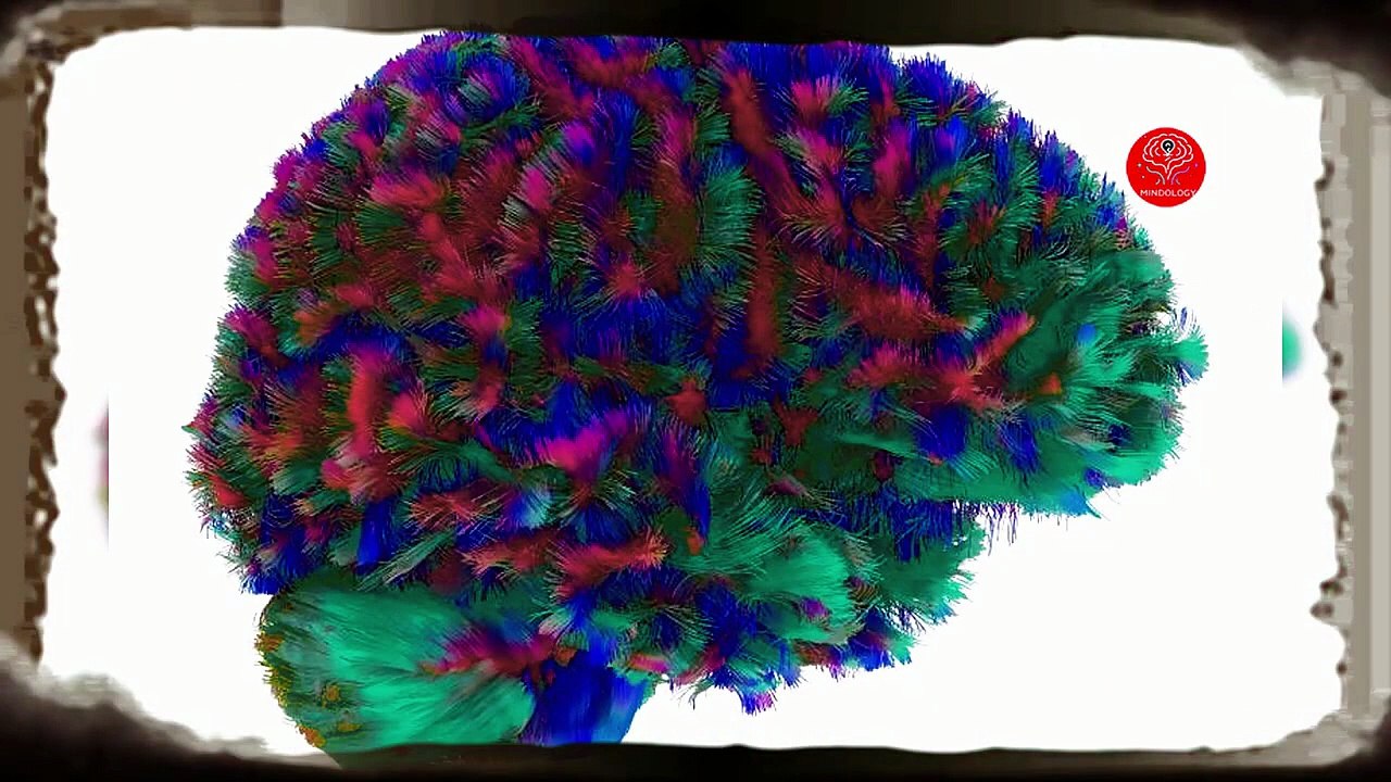 Your Brain Has 5 Secret Ages l Scientists Reveal Shocking Turning Points That Shape Your Life