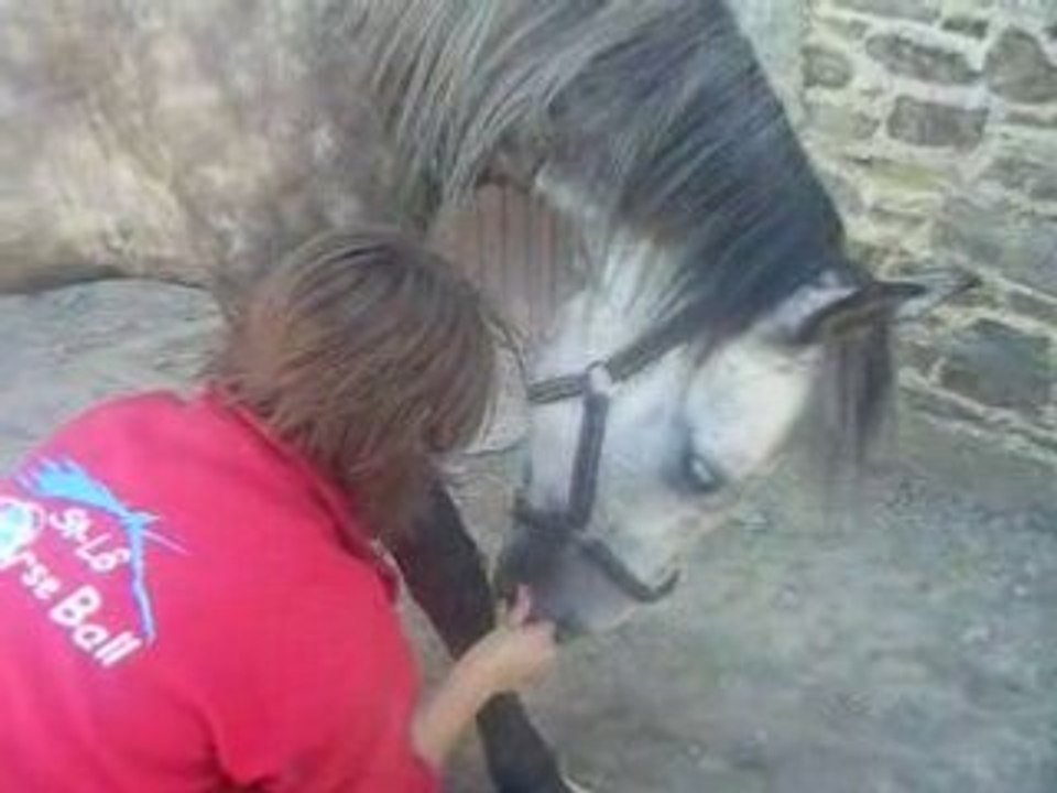 Mon poney et moi ...