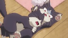 Watch The Cat In My Room Episode 5 IN ENGLISH