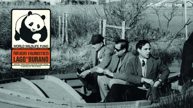 Il WWF compie 60 anni, da Fiorello a Luca Argentero a Licia Col?, gli auguri dei testimonial