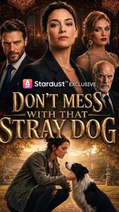 Don't Mess with That Stray Dog - Full Episode (ENGSUB) | Rags to Riches, Revenge #ASD