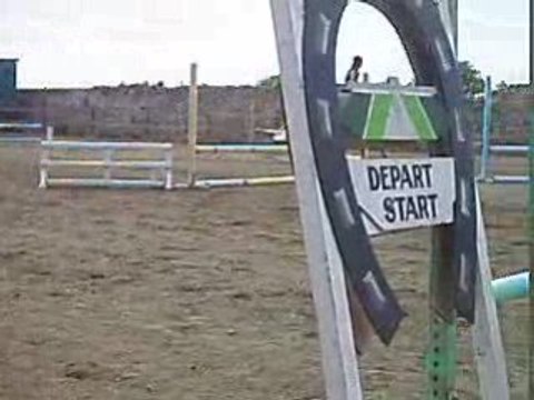 concours de saut d'obstacle avec mon tichval