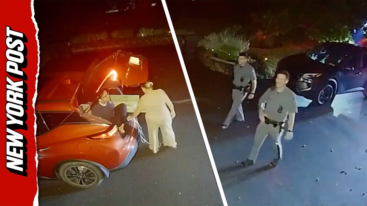 Police respond to hilarious mix-up after "legs" spotted hanging from trunk