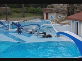 Vacances Les Mathes Juin 2008