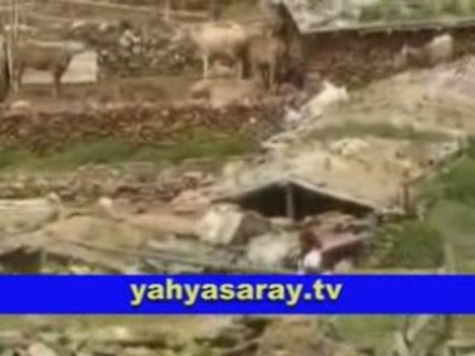 YAHYASARAY SIRIKLI Yaylasi-2008