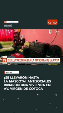 Los delincuentes ingresaron a la vivienda y sustrajeron varios objetos de valor, además de la mascota de la familia.