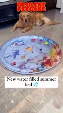 Summer Must-Have: Inflatable Splash Pad Keeps Pets Cool & Entertained