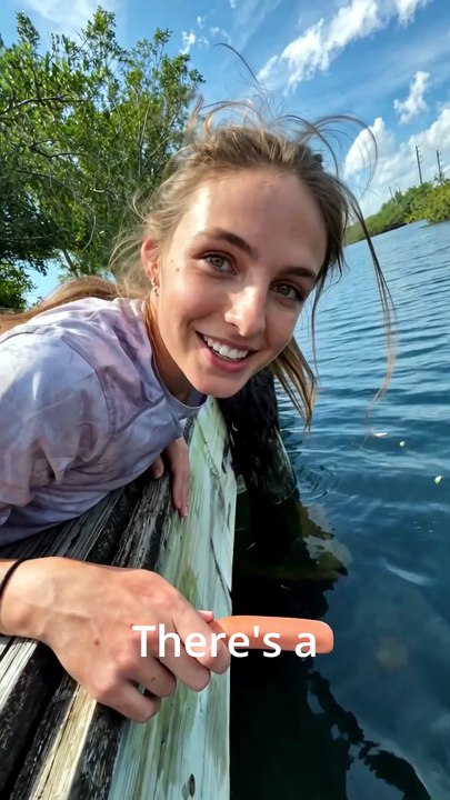 I Thought It Was a Tarpon… Then THIS Swam Under the Dock 😳