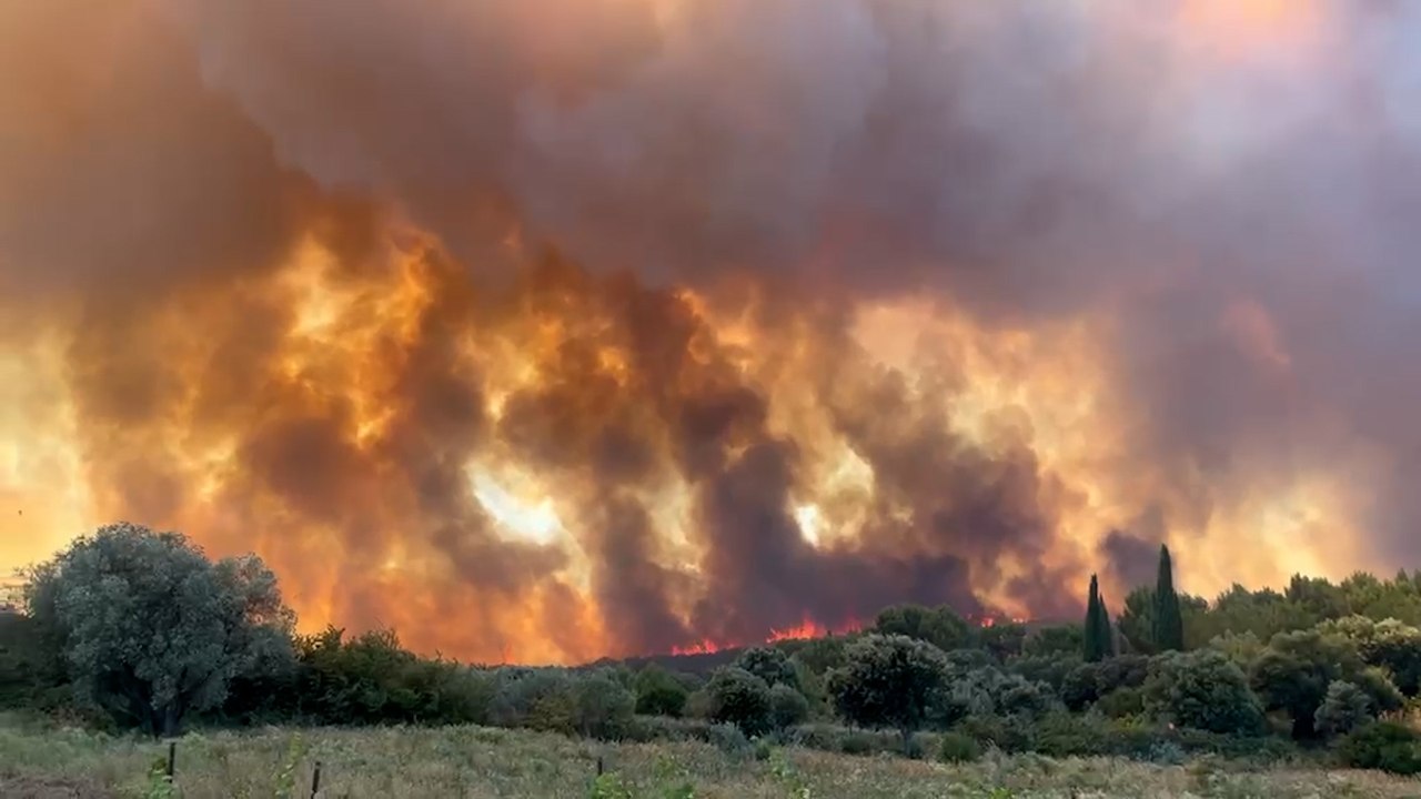 « C'est apocalyptique » : au coeur des flammes, dans le Gard incendié