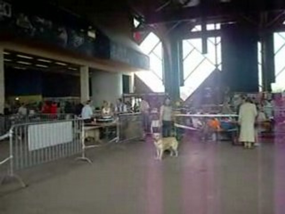 Classe jeune femelle Ghalia, Charleville Mézières 29/06/08