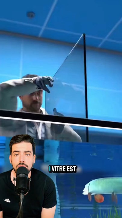 Expérience poisson