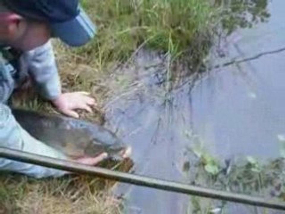 peche de la carpe : team peche passion au "paradise carp"1