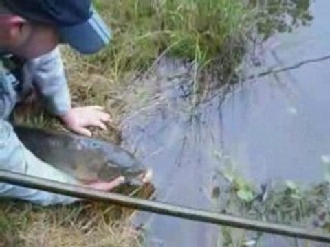 peche de la carpe : team peche passion au paradise carp 1