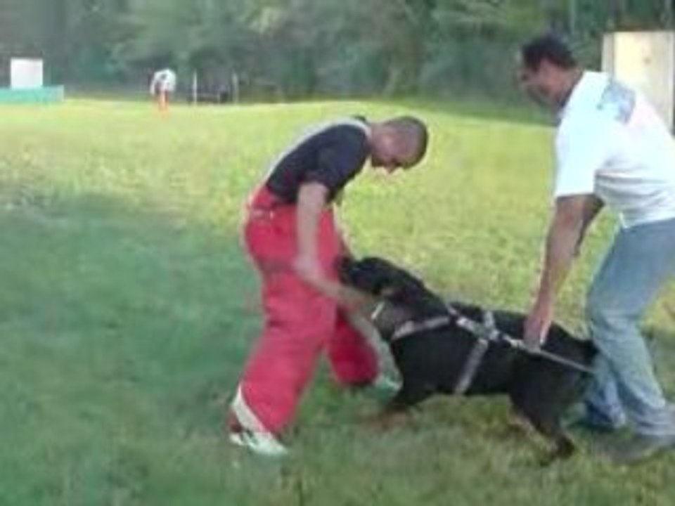 boyd a l'entrainement (ring )