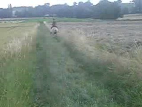 Démarrage au galop a cru ;) lol