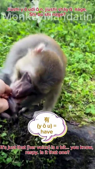 Is That You? | Identifying a Monkey by Her Unique Hoarseness