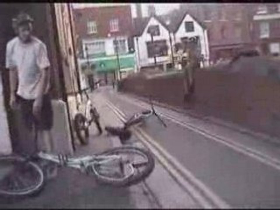 ZOO TRIAL crashes