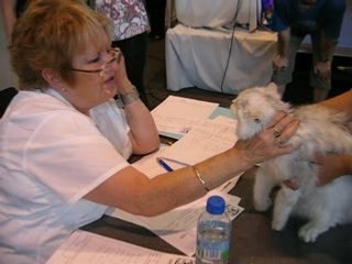 Caïleen en jugement Trad à Gagny 2008 - 1er CAC