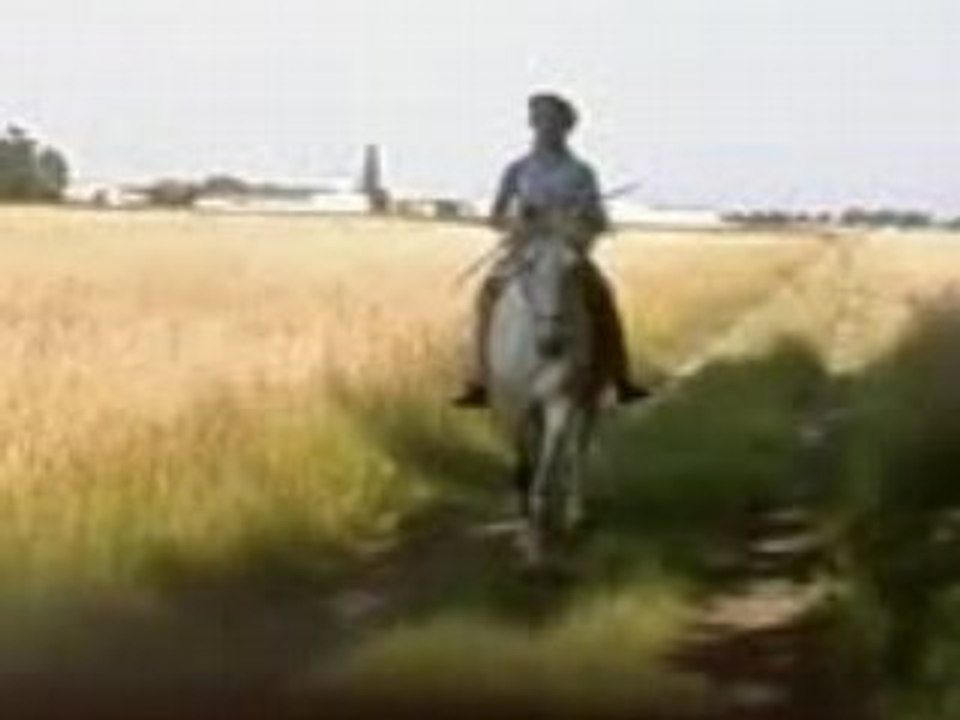 Au galop !